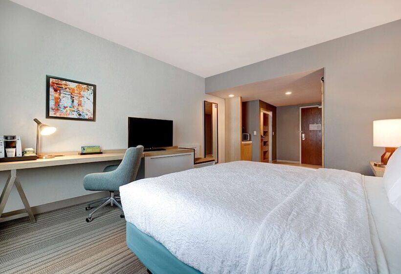 Номер Стандарт, Hilton Garden Inn Tampa Northwest/oldsmar