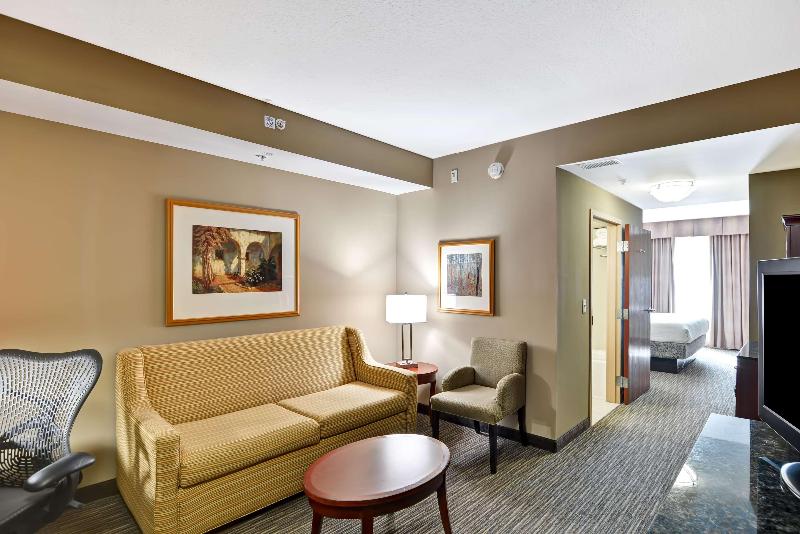 Люкс Кровать Кинг, Hilton Garden Inn Tampa Northwest/oldsmar