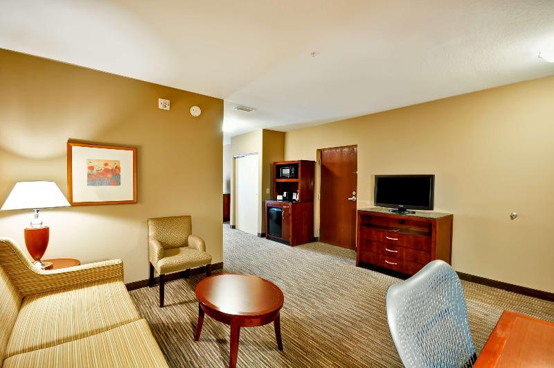 Люкс Кровать Кинг, Hilton Garden Inn Tampa Northwest/oldsmar