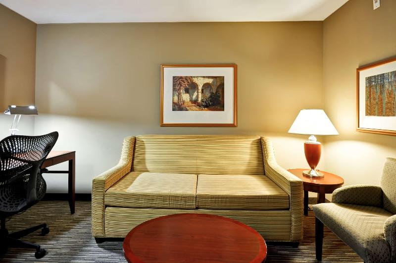 Люкс Кровать Кинг, Hilton Garden Inn Tampa Northwest/oldsmar