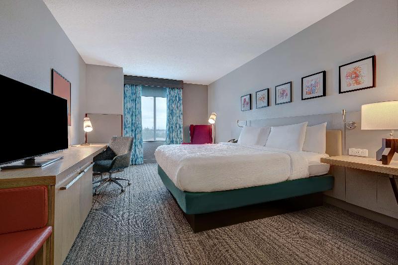 Стандартный Номер Кровать Кинг, Hilton Garden Inn Tampa Northwest/oldsmar