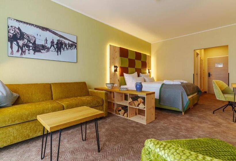 Апартаменты 1 Спальня, Rathaushotels Oberwiesenthal All Inclusive