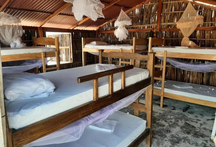 공동 객실, Talata Hostal