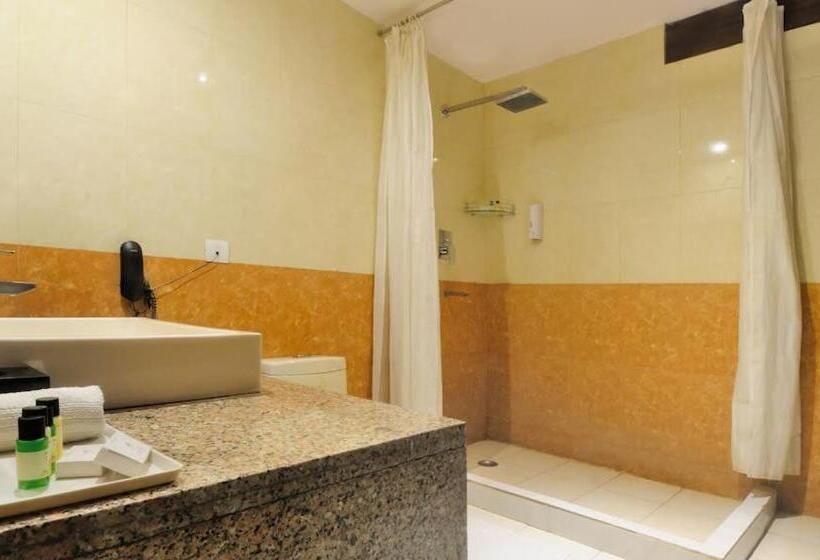Standard Triple Room, Zenith Hotel   Delhi Airport