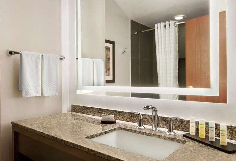 סוויטה דלוקס, Embassy Suites By Hilton Dallas Dfw Airport North