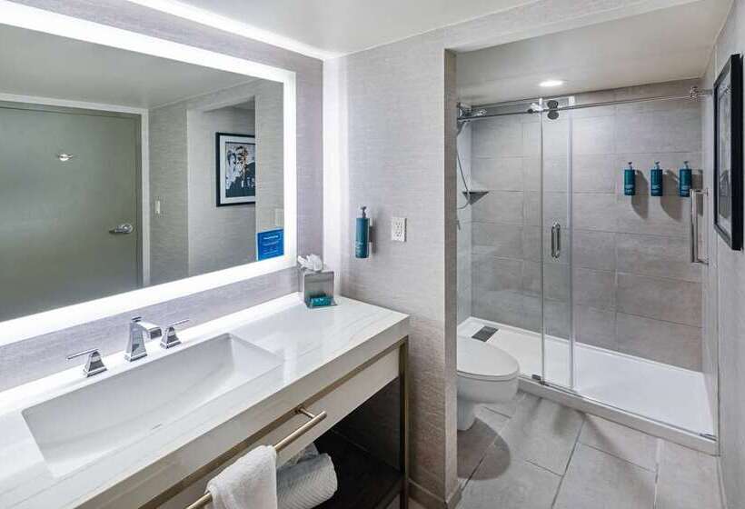 Suíte Deluxe, Embassy Suites By Hilton Dallas Dfw Airport North