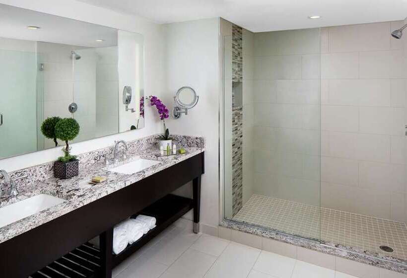 Suíte Premium, Embassy Suites By Hilton Dallas Dfw Airport North
