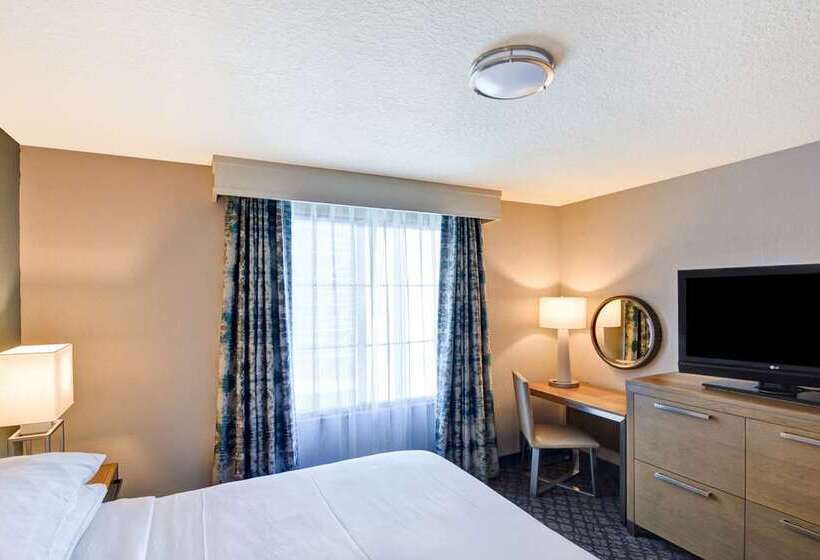 Suíte Cama King, Embassy Suites By Hilton Dallas Dfw Airport North