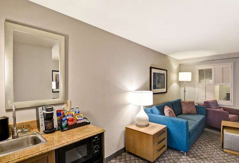 Suíte Premium, Embassy Suites By Hilton Dallas Dfw Airport North