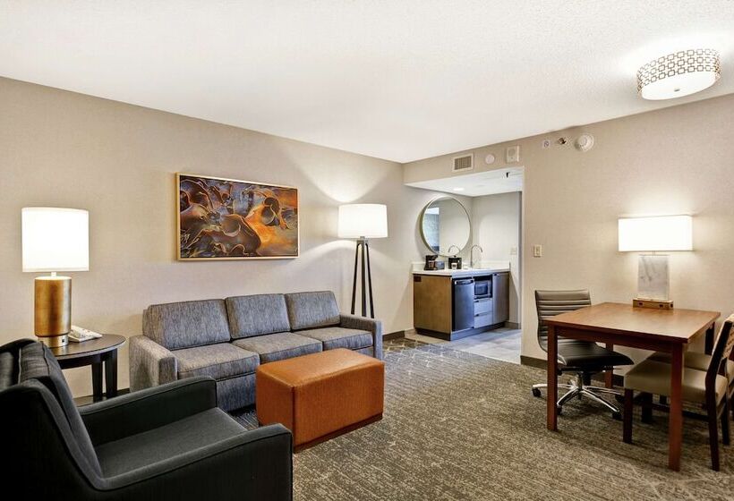 Люкс, Embassy Suites By Hilton Minneapolisairport