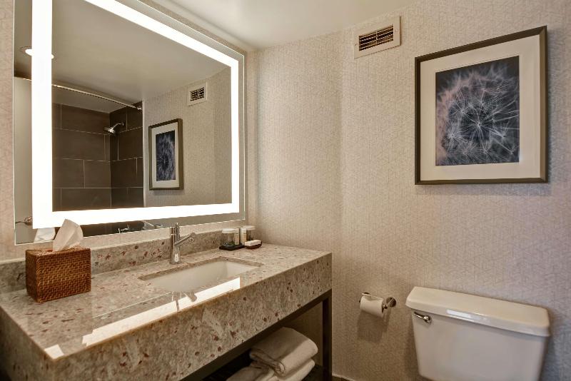 Люкс Премиум, Embassy Suites By Hilton Minneapolisairport