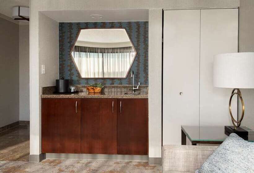 Номер Стандарт, Embassy Suites By Hilton Minneapolisairport