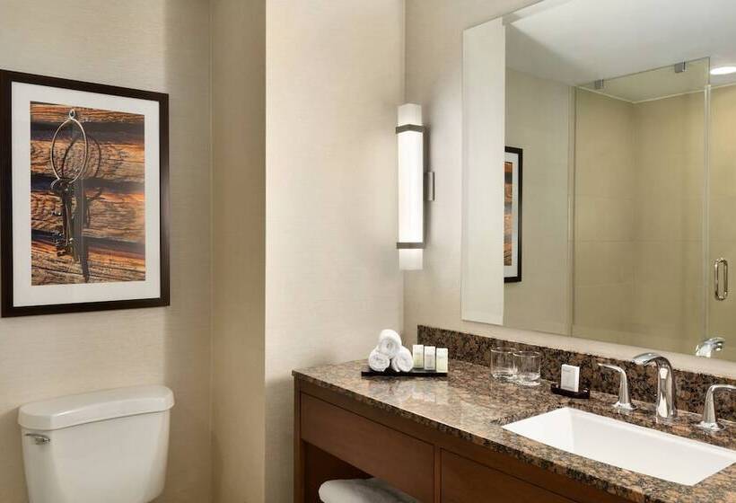 Quarto Estandar Cama Casal, Embassy Suites By Hilton Dallas Dfw Airport North