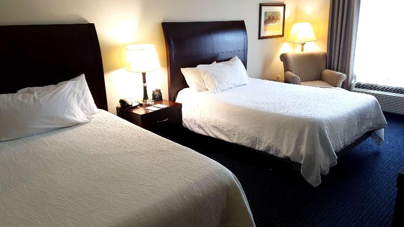 اتاق استاندارد با تخت دو نفره بزرگ, Hilton Garden Inn Lexington Georgetown
