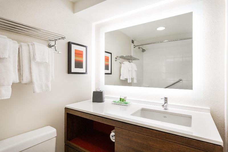 장애인을 위한 스탠다드 룸, Hilton Garden Inn Lexington Georgetown
