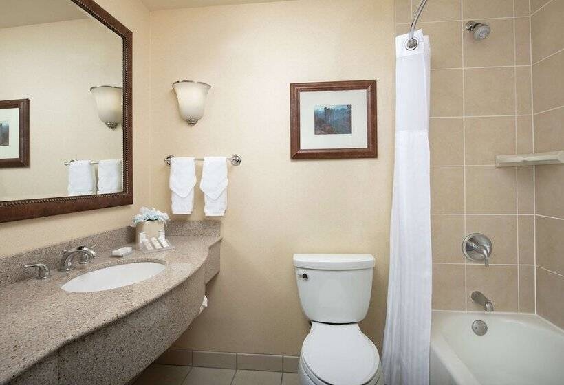 スタンダードルーム, Hilton Garden Inn Yakima Downtown