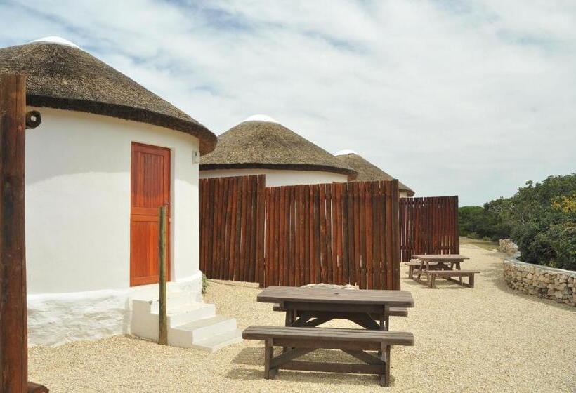 Бунгало Стандарт, De Hoop Collection   Campsite Rondawels