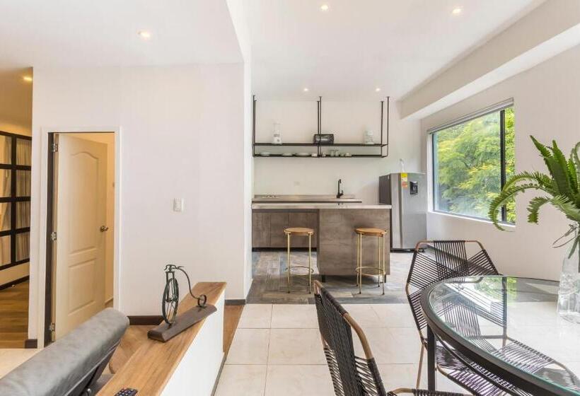 Apartamento 2 Dormitórios, Soy Local Primavera