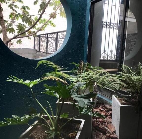 Apartamento 1 Quarto Rés-do-chão, Soy Local Primavera