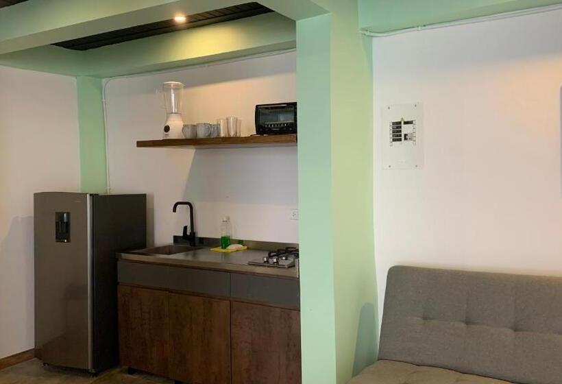 Quarto Estandar, Soy Local Primavera