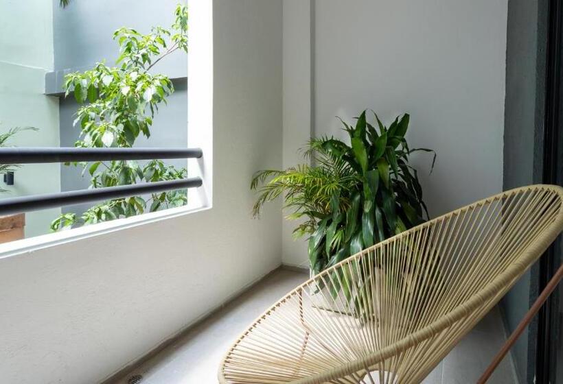 Quarto Deluxe, Soy Local Primavera