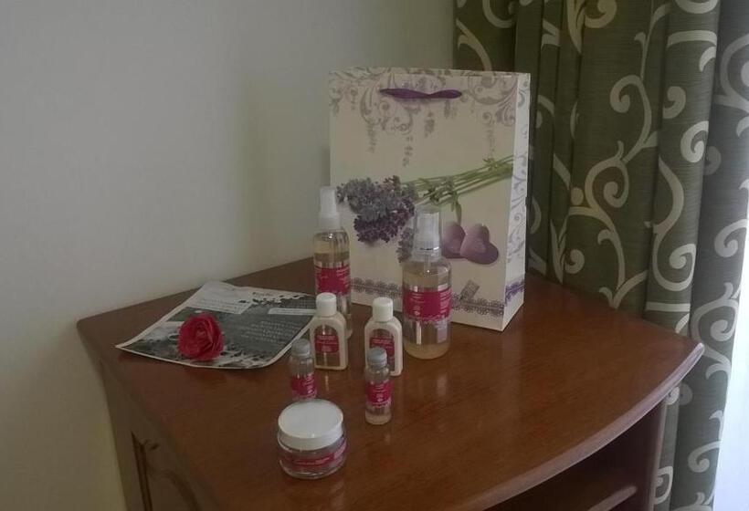 Номер Deluxe Кровать Кинг, Albergaria Senhora Do Espinheiro