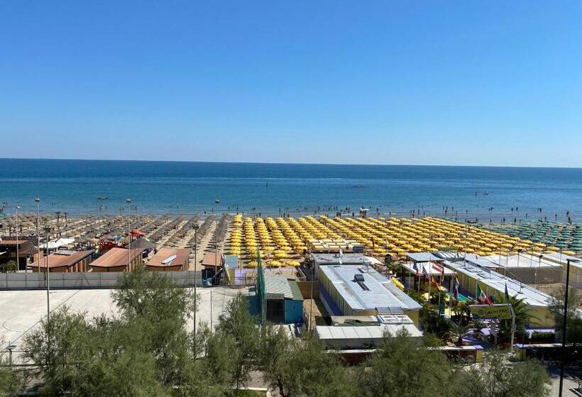 Номер Стандарт, Nettuno