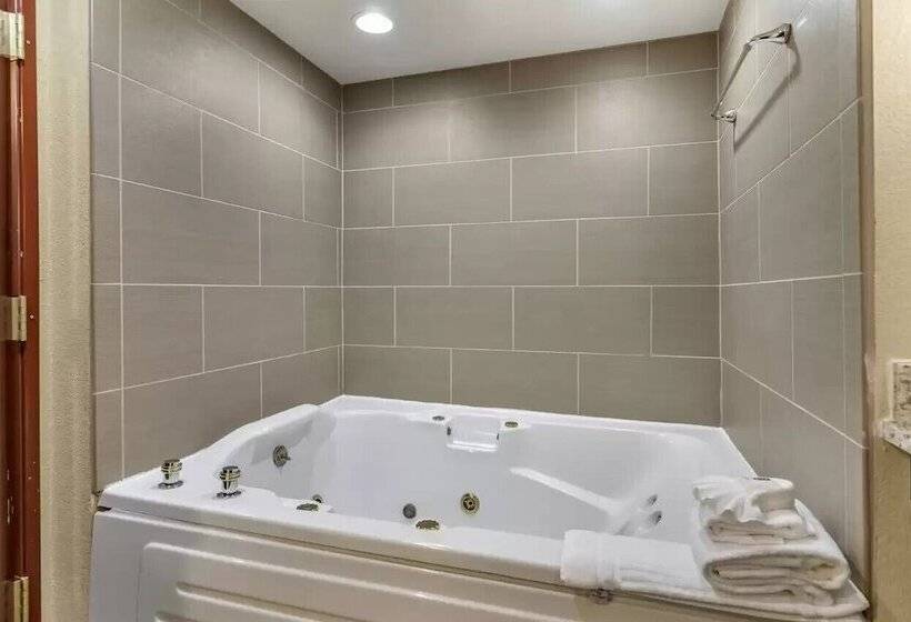 Люкс, Comfort Inn & Suites Allen Park  Dearborn