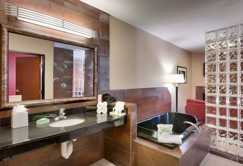 Люкс, Holiday Inn Hotel & Suites Salt Lake City Airport West By Ihg
