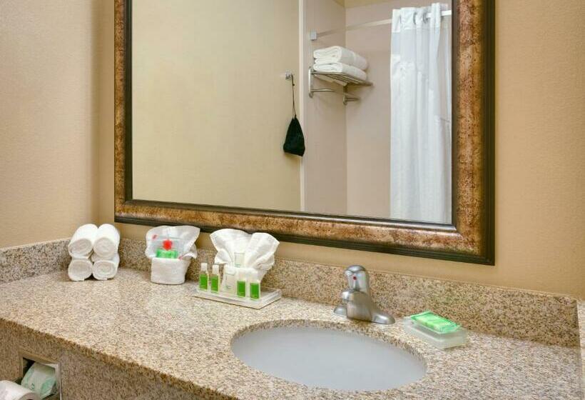 Люкс Кровать Кинг, Holiday Inn Hotel & Suites Salt Lake City Airport West By Ihg