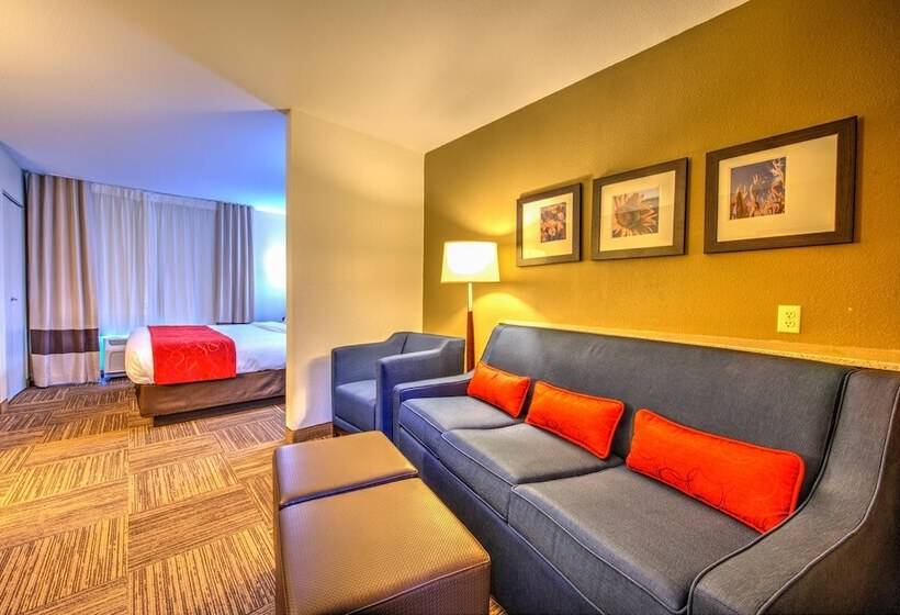스위트, Comfort Suites Urbana Champaign, University Area