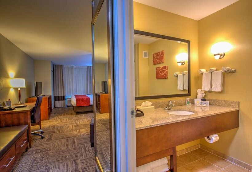 장애인을 위한 스위트, Comfort Suites Urbana Champaign, University Area