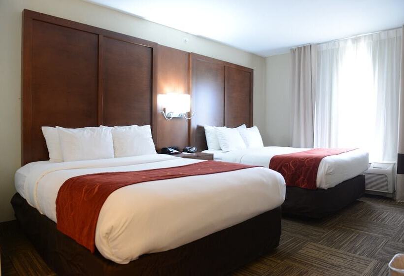 스위트, Comfort Suites Urbana Champaign, University Area