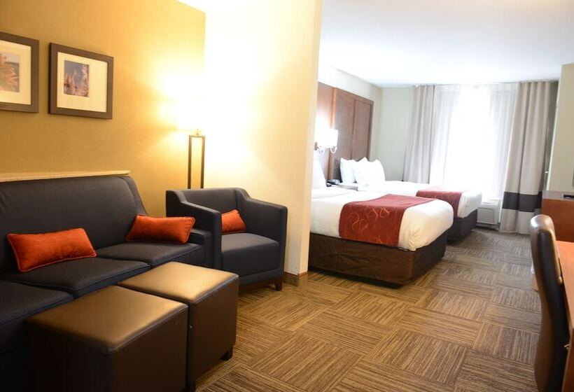 스위트, Comfort Suites Urbana Champaign, University Area