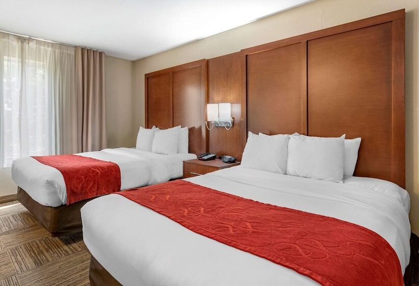 장애인을 위한 스위트, Comfort Suites Urbana Champaign, University Area