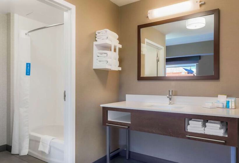 סטודיו סטנדרט מיטה זוגית, Hampton Inn & Suites Pittsburgh Downtown
