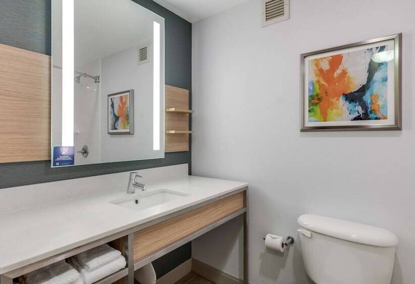 Номер Стандарт 2 Двуспальные Кровати, Hilton Garden Inn Suffolk Riverfront