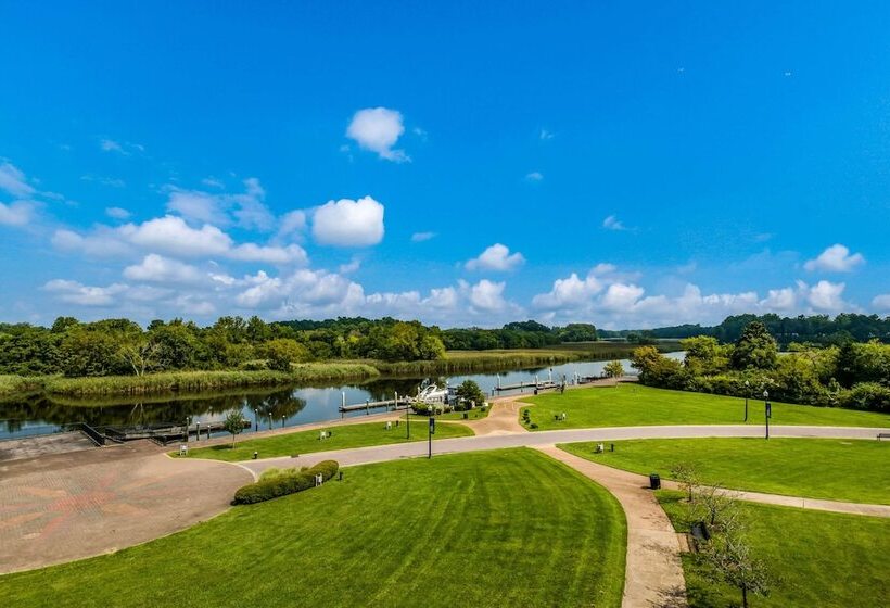 Номер Стандарт Адаптированный для Инвалидов, Hilton Garden Inn Suffolk Riverfront
