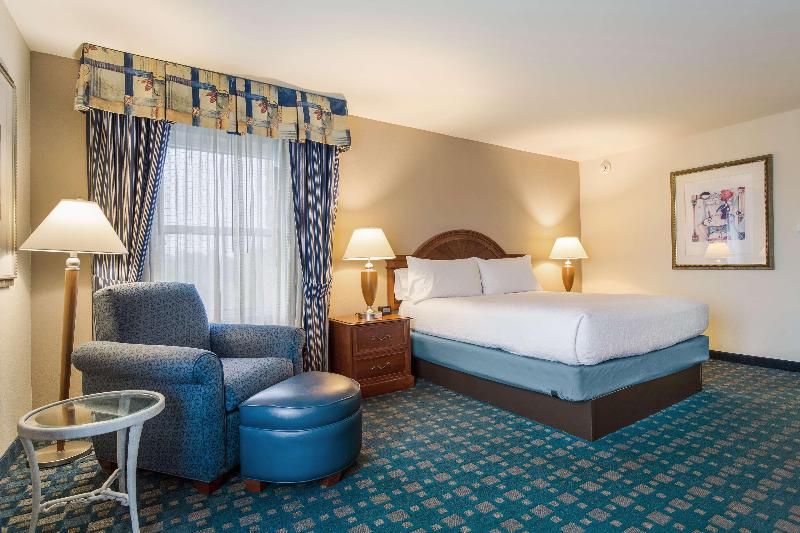 Стандартный Номер Кровать Кинг, Hilton Garden Inn Suffolk Riverfront
