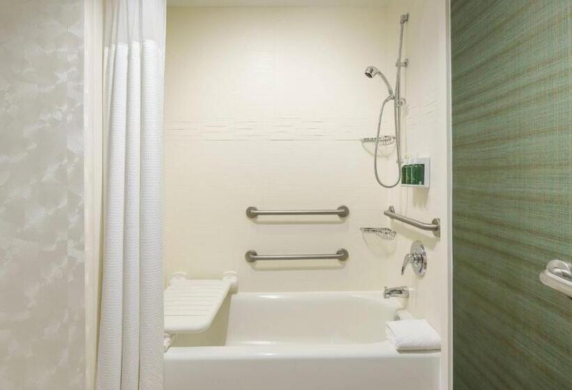 Студия Стандарт Кровать Куин, Residence Inn Austin Downtown/convention Center