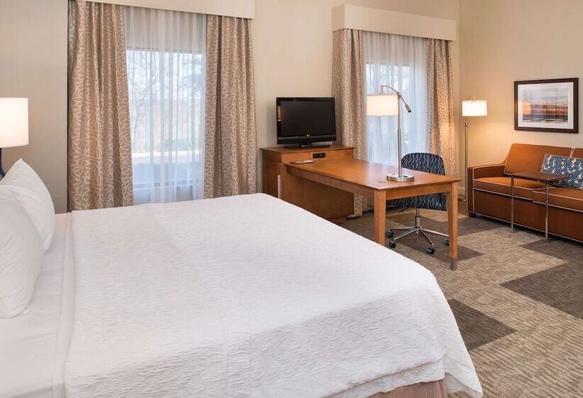 Номер Стандарт, Hampton Inn & Suites Schertz