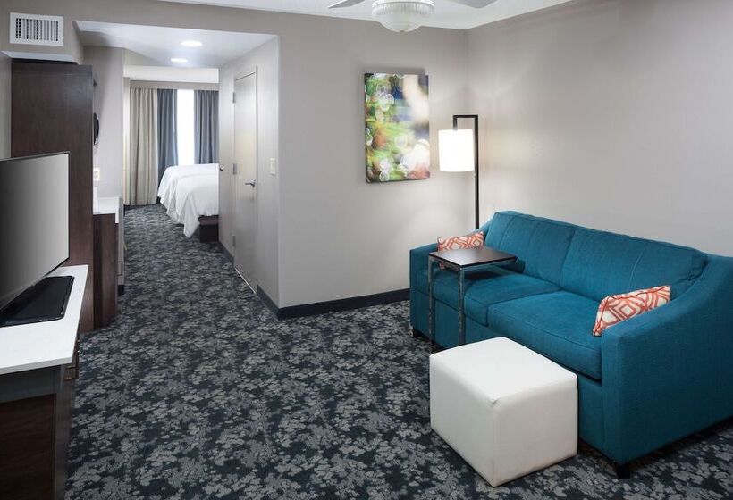 Standard-huone, Hilton Garden Inn Nashville Vanderbilt