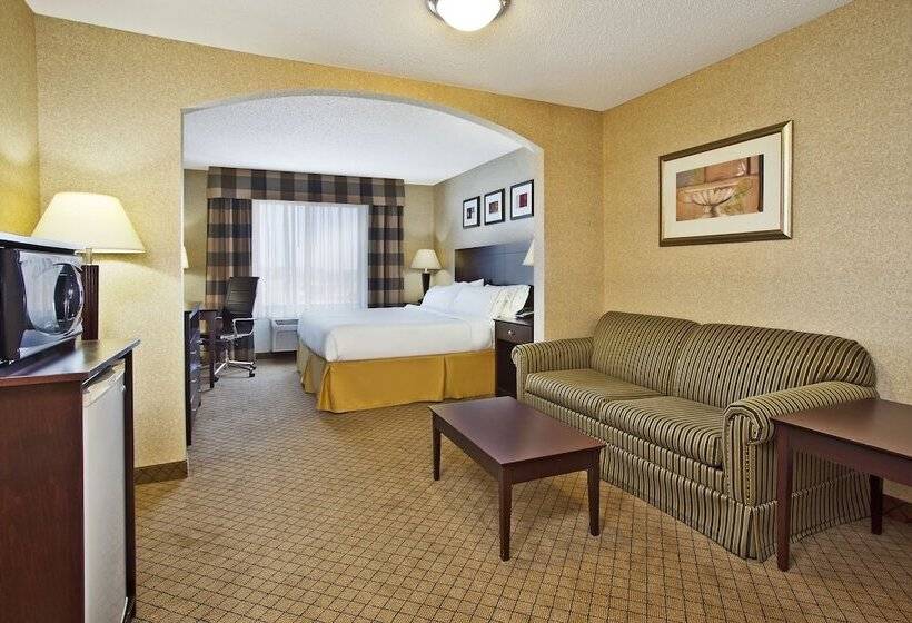 套房, Holiday Inn Express Hotel & Suites Anderson, An Ihg