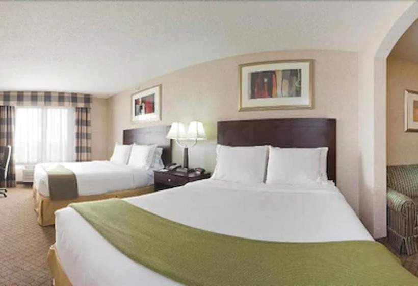套房, Holiday Inn Express Hotel & Suites Anderson, An Ihg