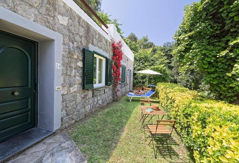 Номер Стандарт, Oasi Castiglione
