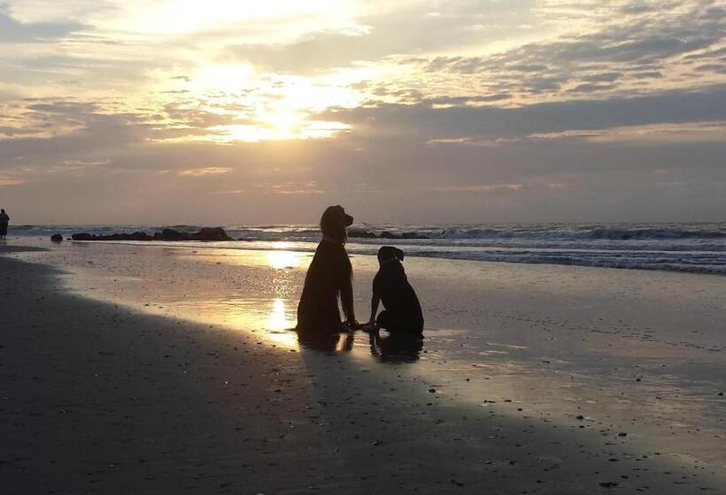 キングサイドベッドのスタンダードワンルーム, Folly With Marsh And Sunset Views