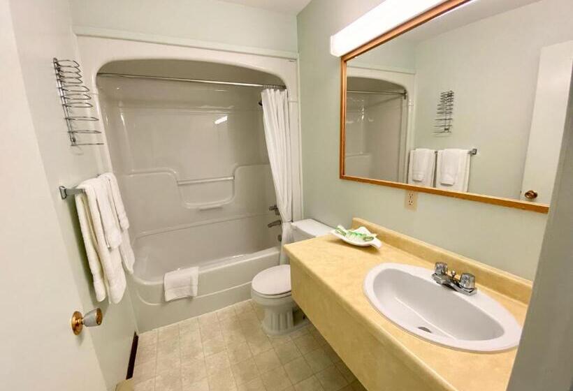 Номер Economy, New Age Inn   Voyageur