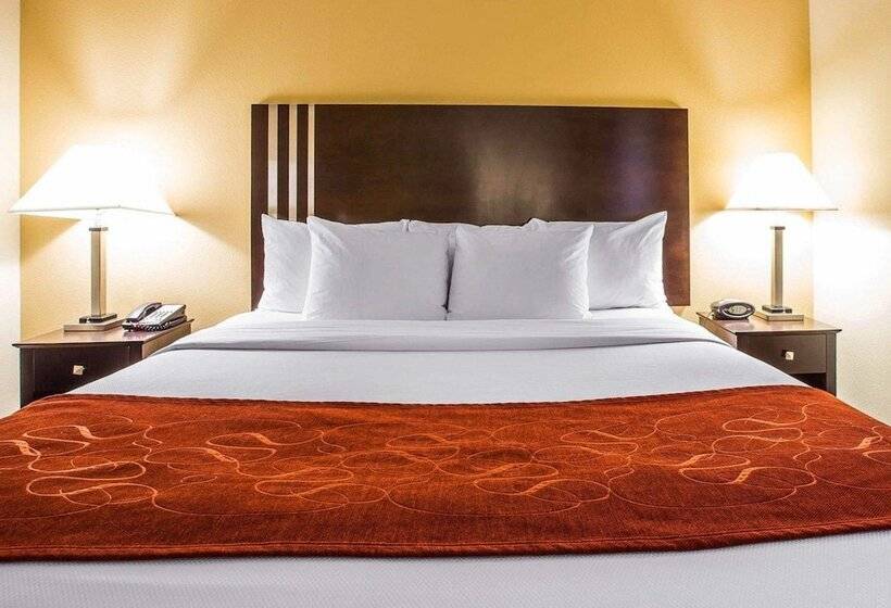 Люкс Адаптированный для Инвалидов, Comfort Suites Simpsonville   Greenville