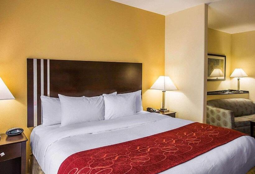 Люкс Кровать Кинг, Comfort Suites Simpsonville   Greenville