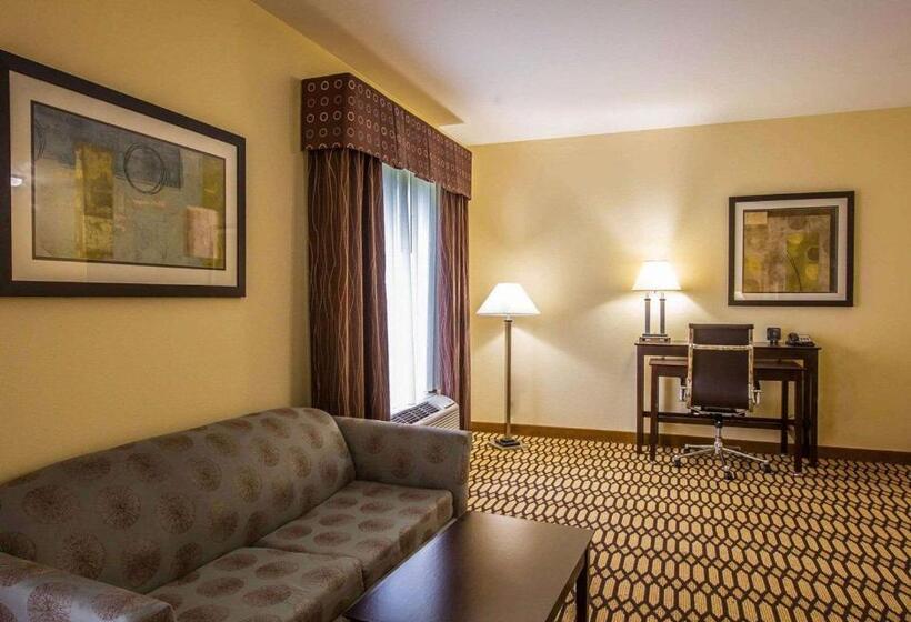 Люкс Адаптированный для Инвалидов, Comfort Suites Simpsonville   Greenville